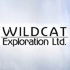 Wildcat - small